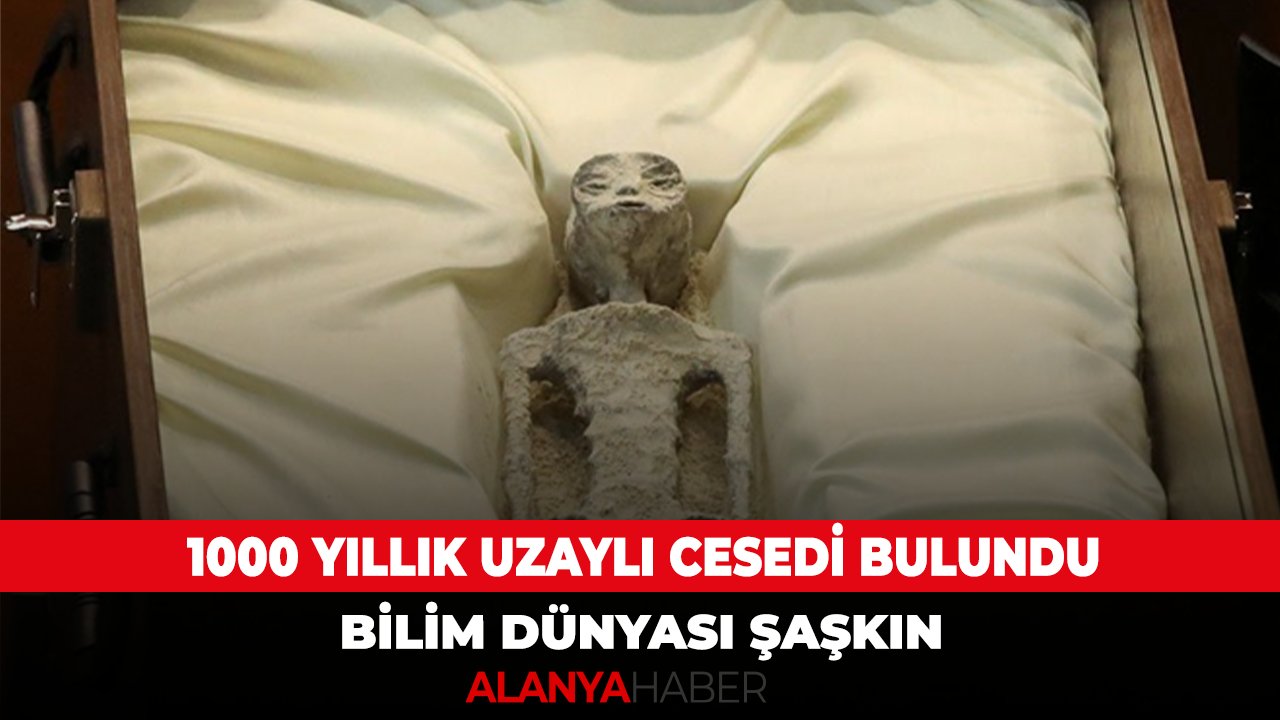 1000 yıllık olduğu düşünülen iki ölü uzaylı bulundu! Bilim insanları doğruluğuyla ilgili yemin etti