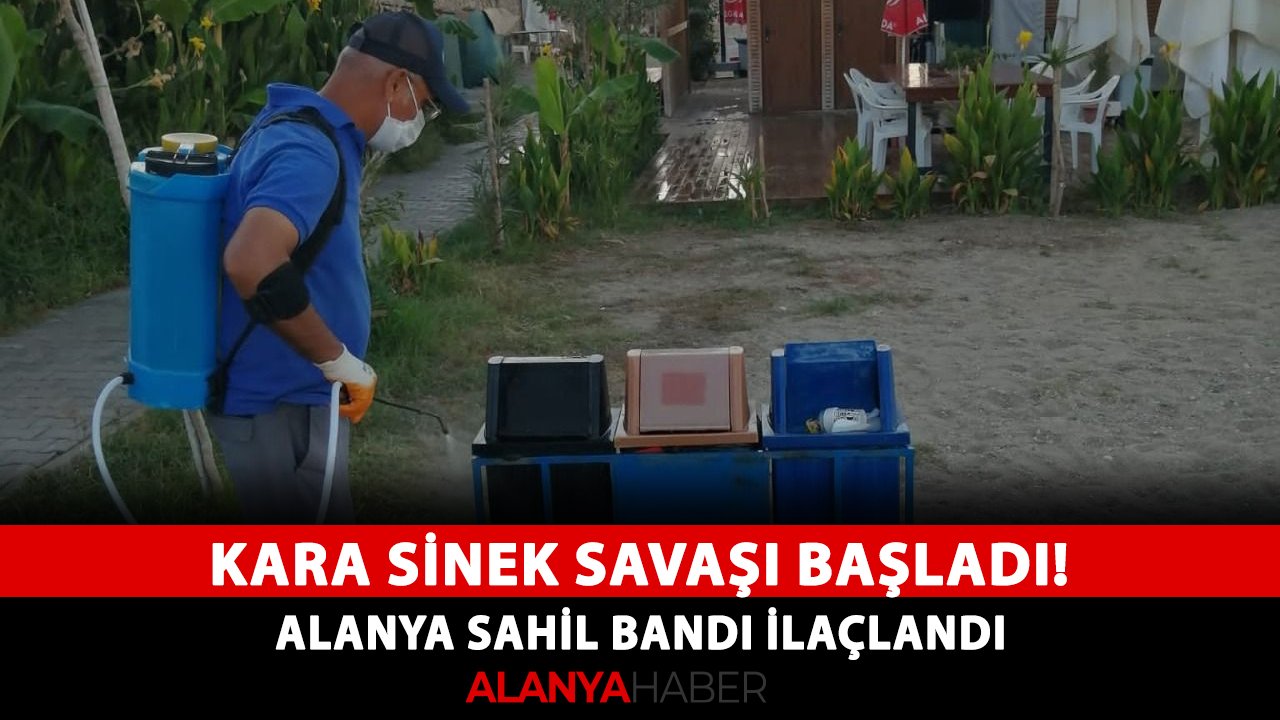 Kara sinek savaşı başladı! Alanya sahil bandı ilaçlandı