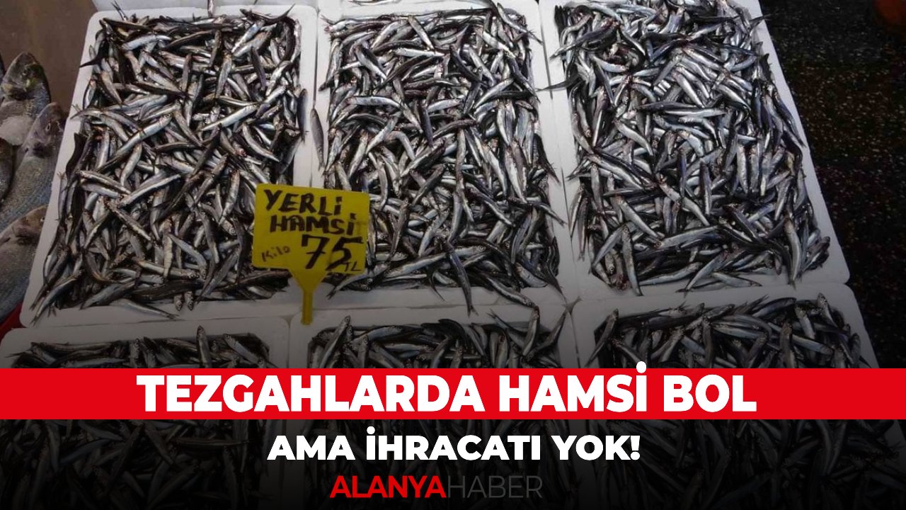 Tezgahlarda hamsi bol ama ihracatı yok!