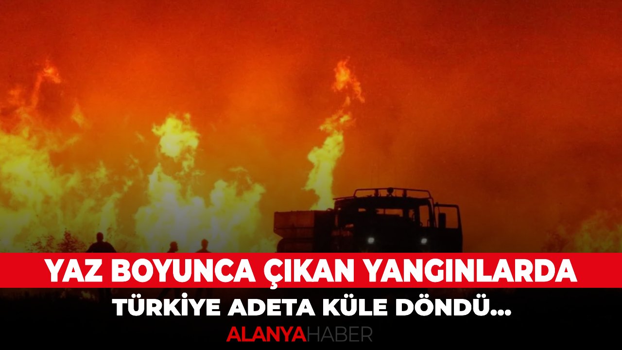 Yaz boyunca çıkan yangınlarda Türkiye adeta küle döndü...