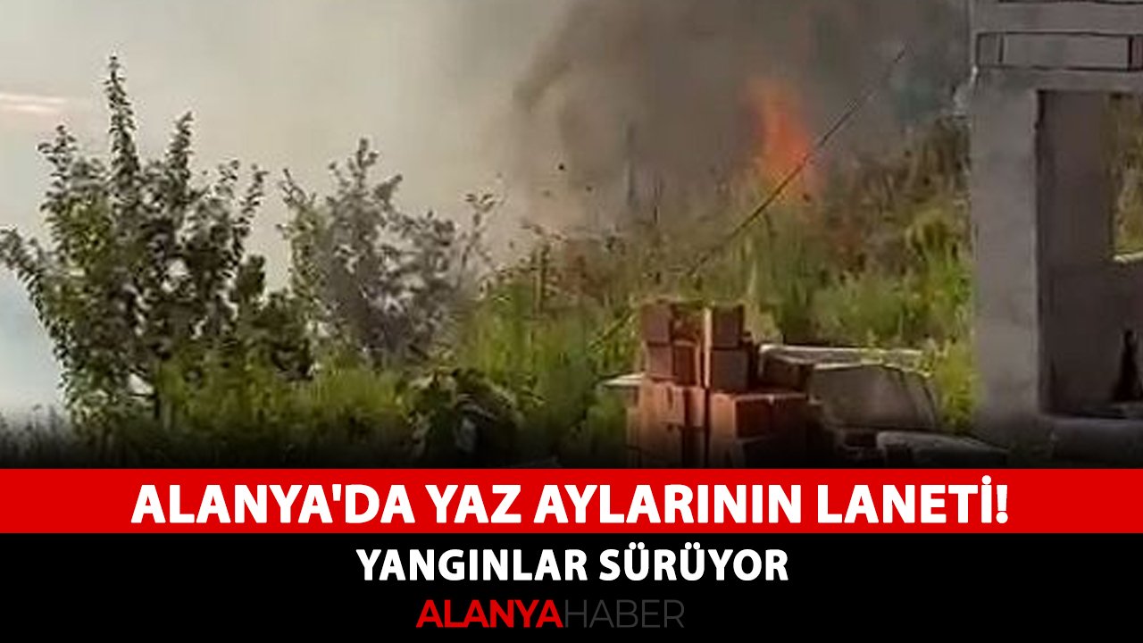 Alanya'da yaz aylarının laneti! Yangınlar sürüyor