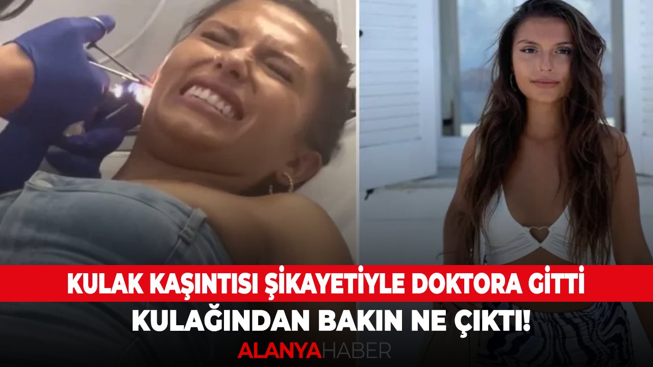 Kulak kaşıntısı şikayetiyle doktora gitti, kulağından bakın ne çıktı!