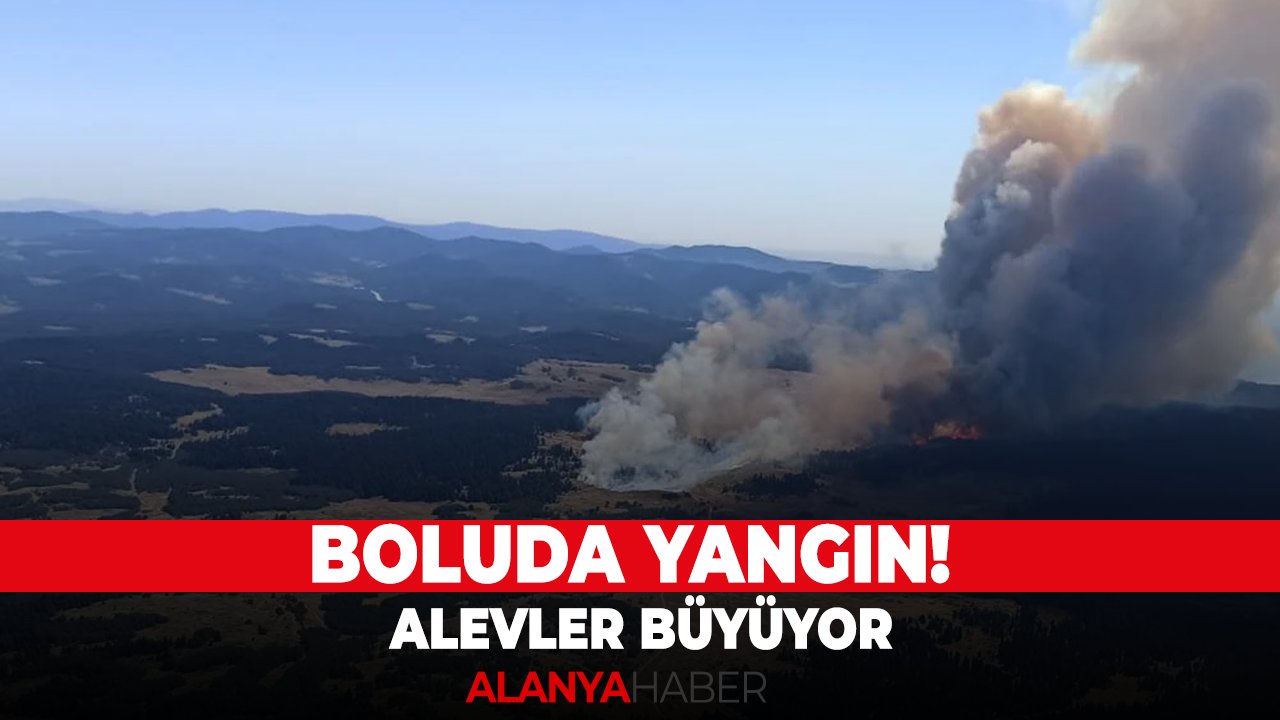 Boluda yangın! Alevler büyüyor