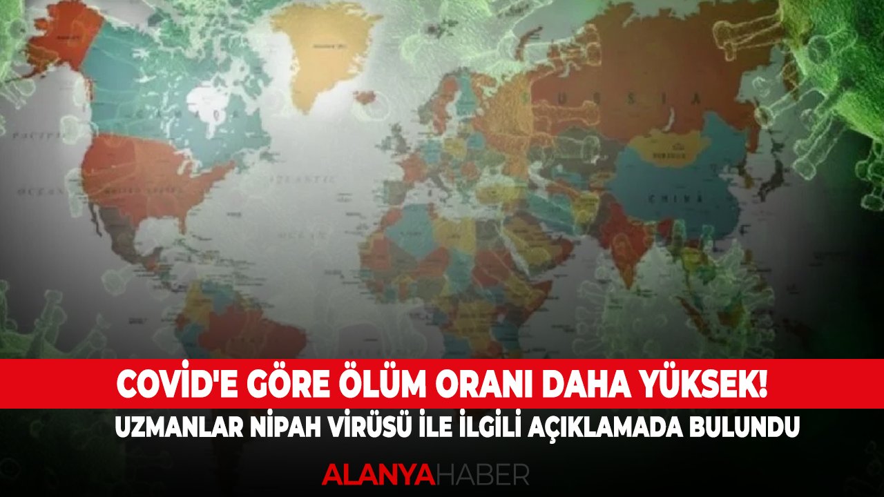 Covid'e göre ölüm oranı daha yüksek! Uzmanlar Nipah virüsü ile ilgili açıklamada bulundu