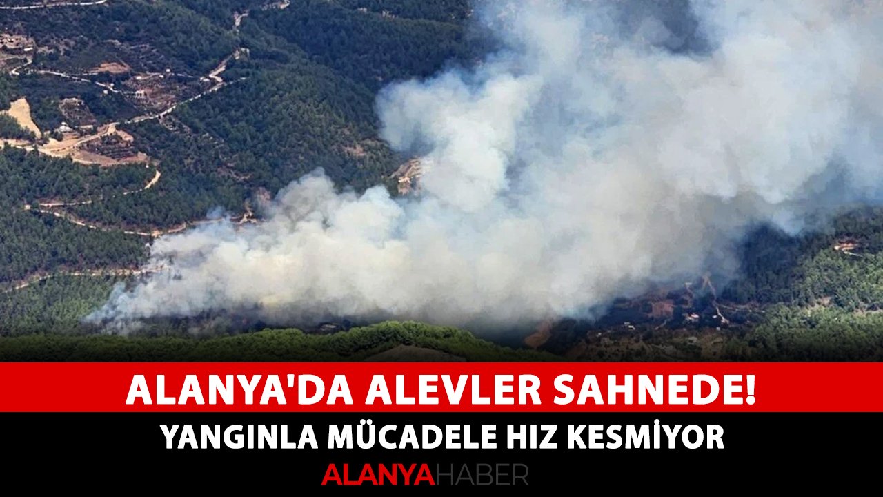 Alanya'da alevler sahnede! Yangınla mücadele hız kesmiyor