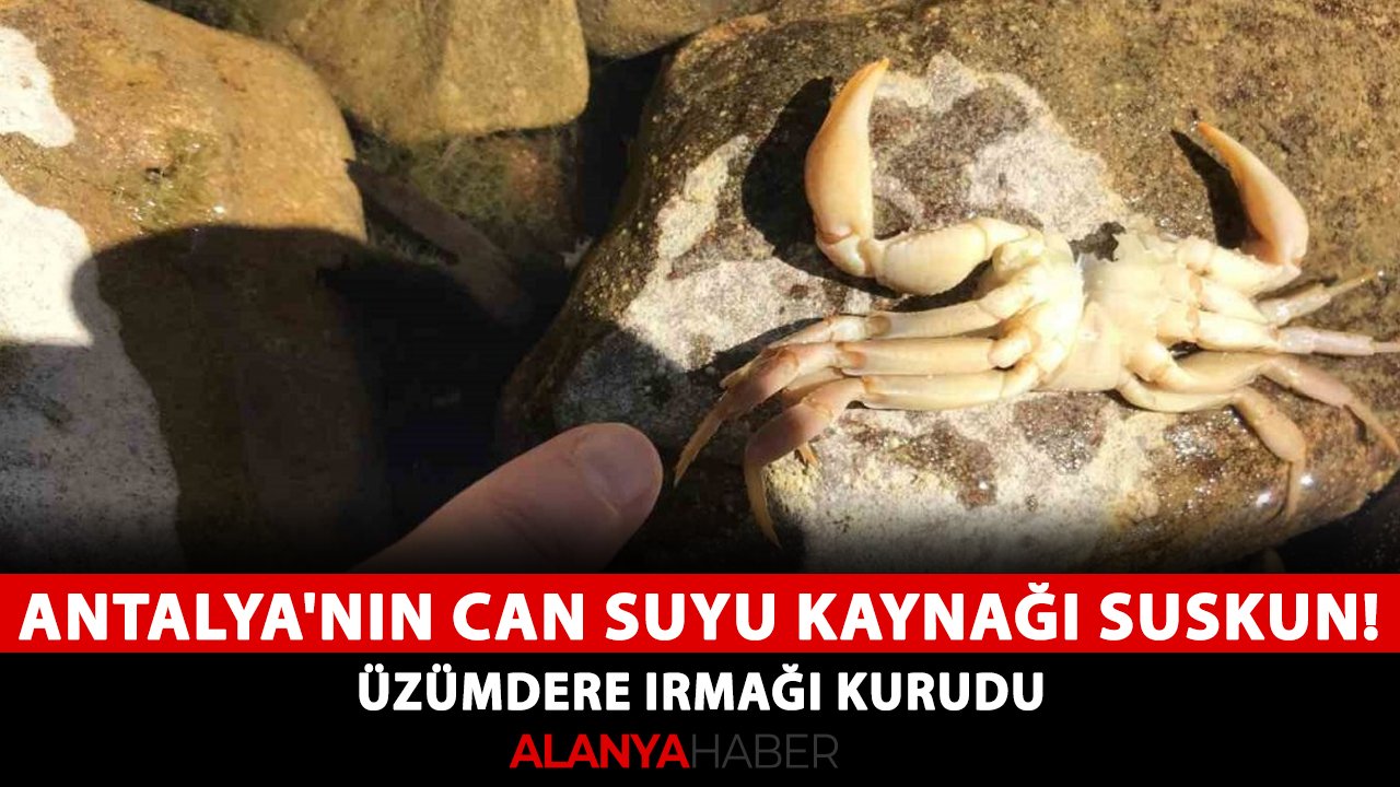 Antalya'nın can suyu kaynağı suskun! Üzümdere ırmağı kurudu