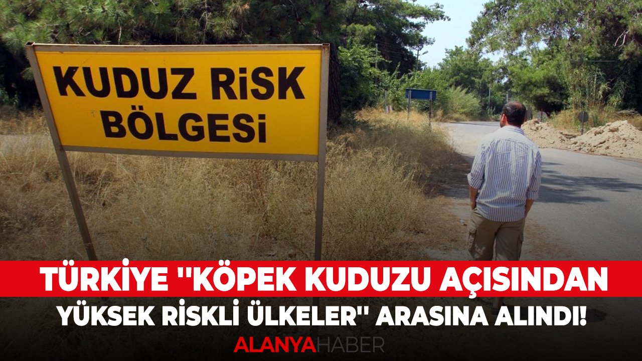 Türkiye ''Köpek Kuduzu Açısından Yüksek Riskli Ülkeler'' arasına alındı!