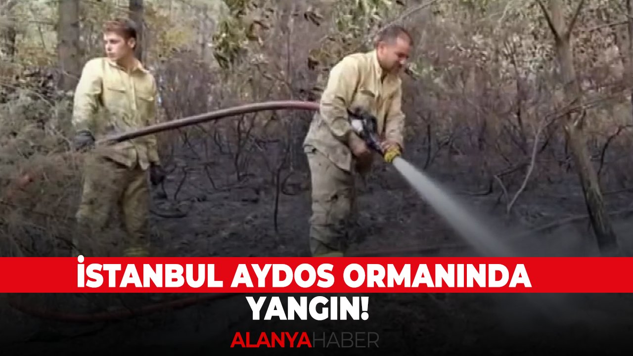 İstanbul Aydos Ormanında yangın!