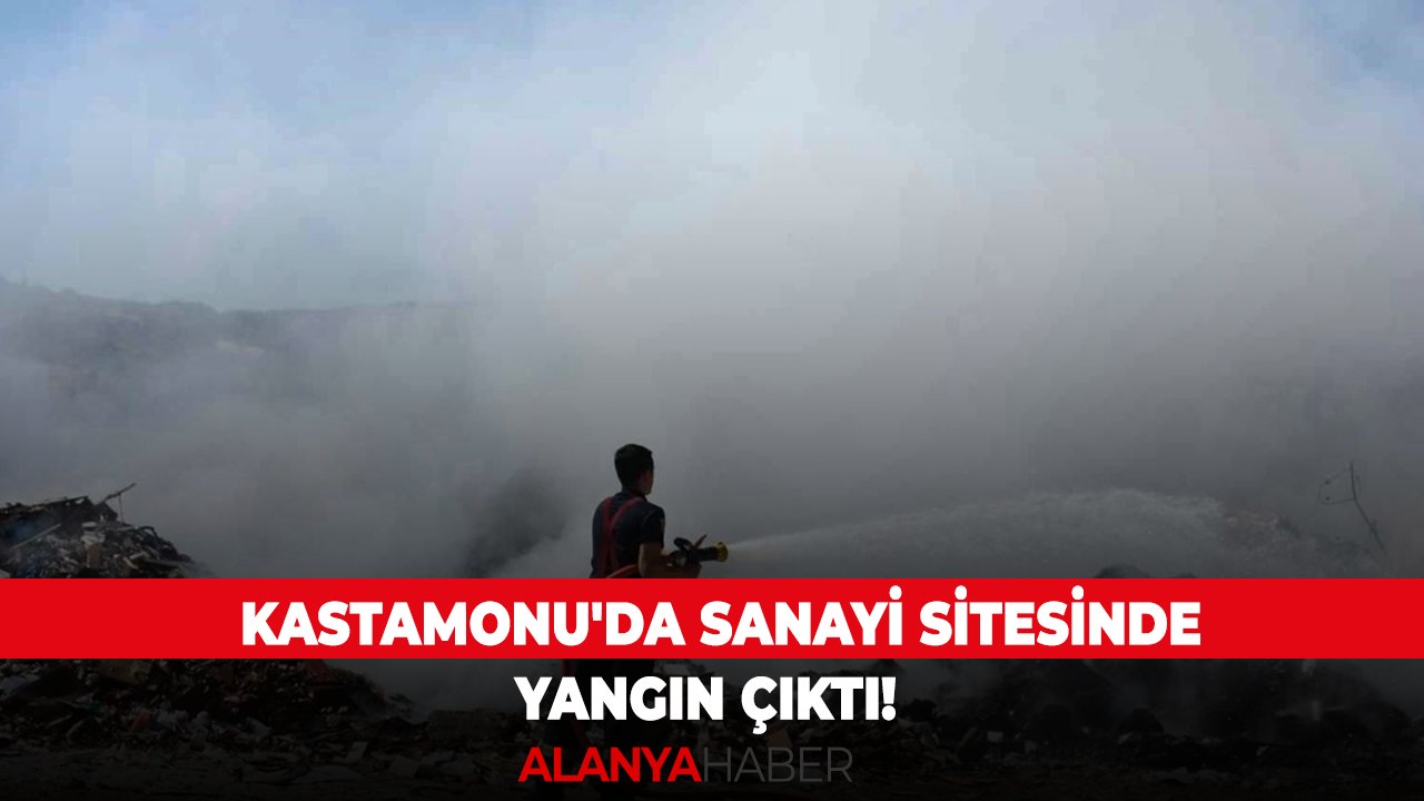 Kastamonu'da yangın!
