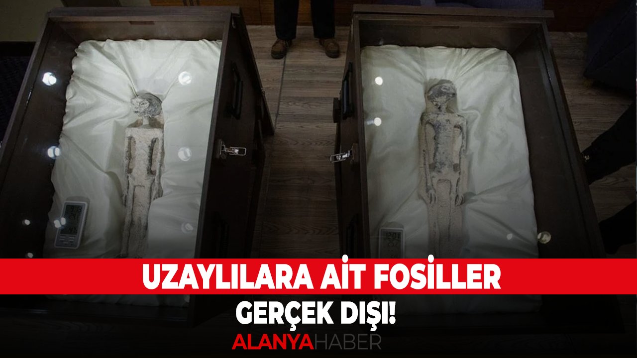 Uzaylılara ait fosiller gerçek dışı!