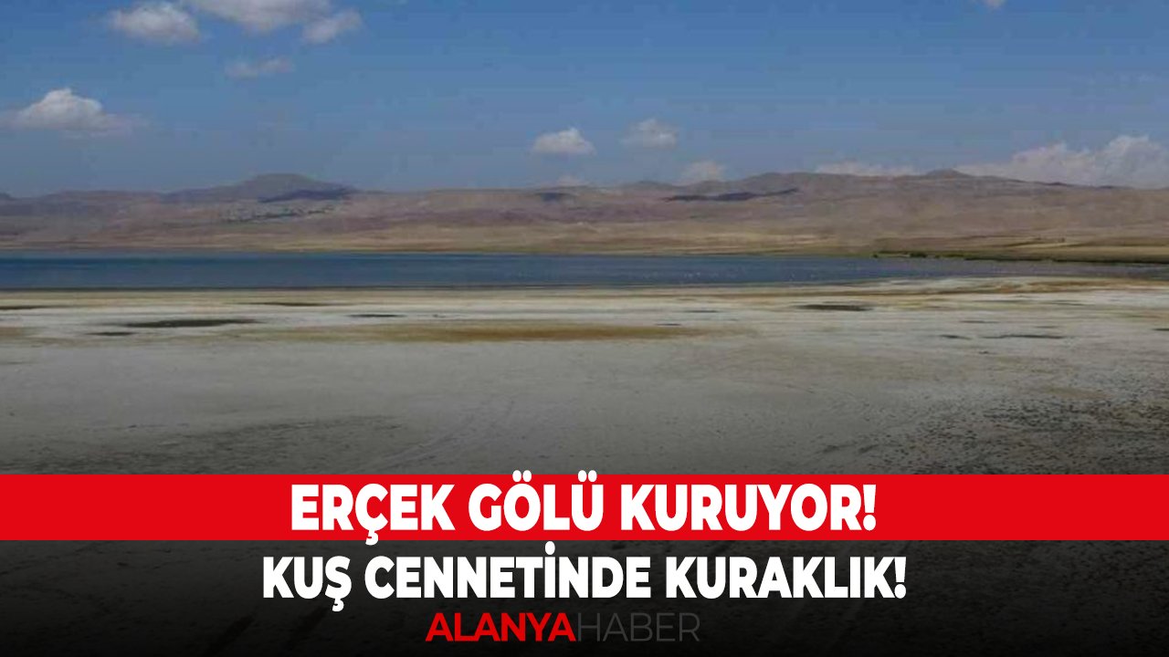 Erçek Gölü kuruyor! Kuş cennetinde kuraklık!