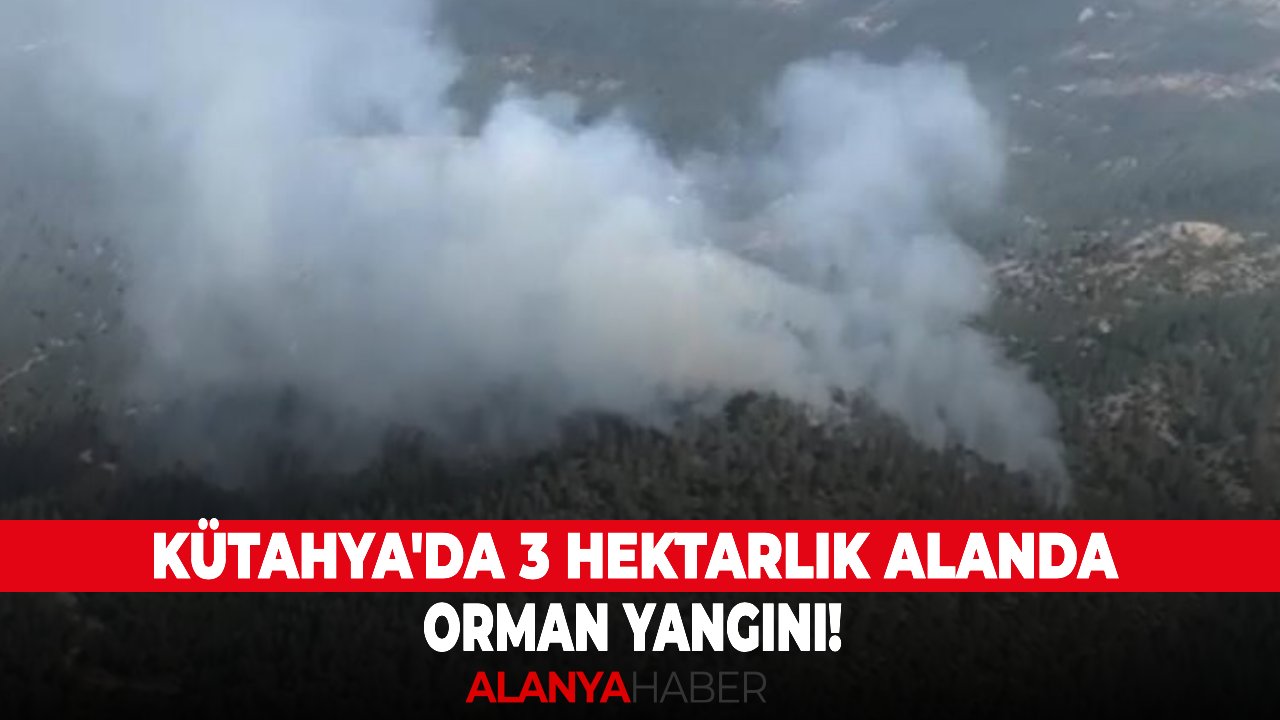 Kütahya'da 3 hektarlık alanda orman yangını!