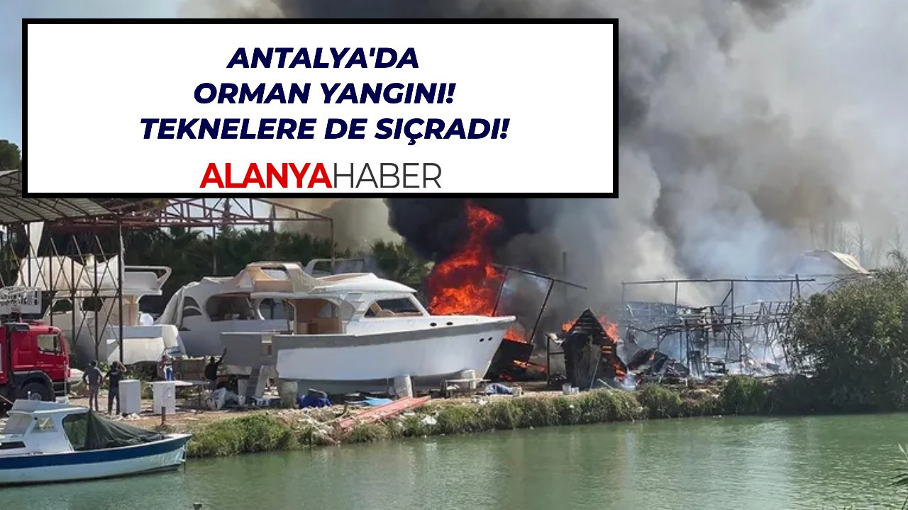 Antalya'da orman yangını! Teknelere de sıçradı!