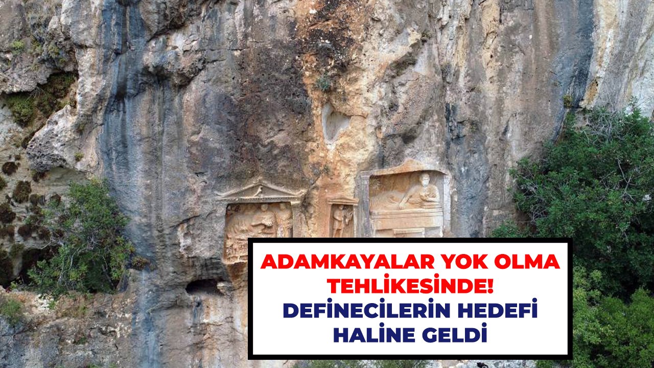 Adamkayalar yok olma tehlikesinde! Definecilerin hedefi haline geldi