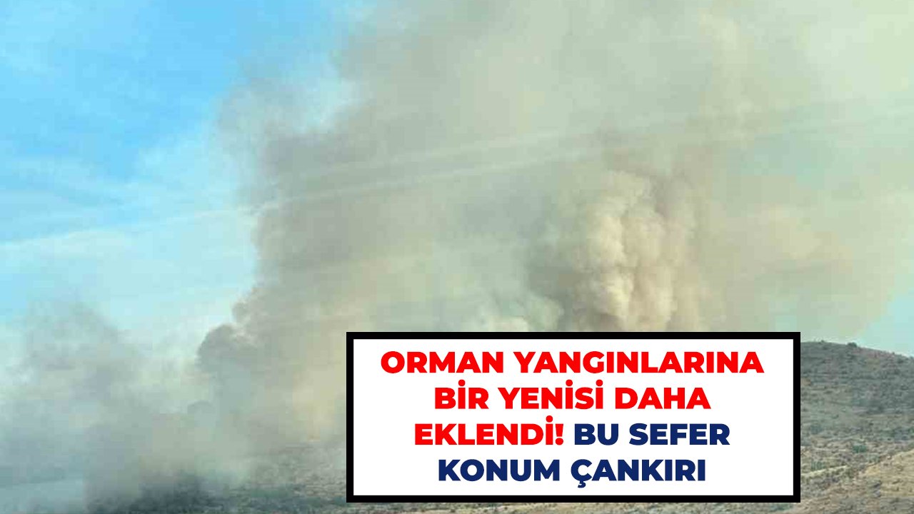 Orman yangınlarına bir yenisi daha eklendi! Bu sefer konum Çankırı