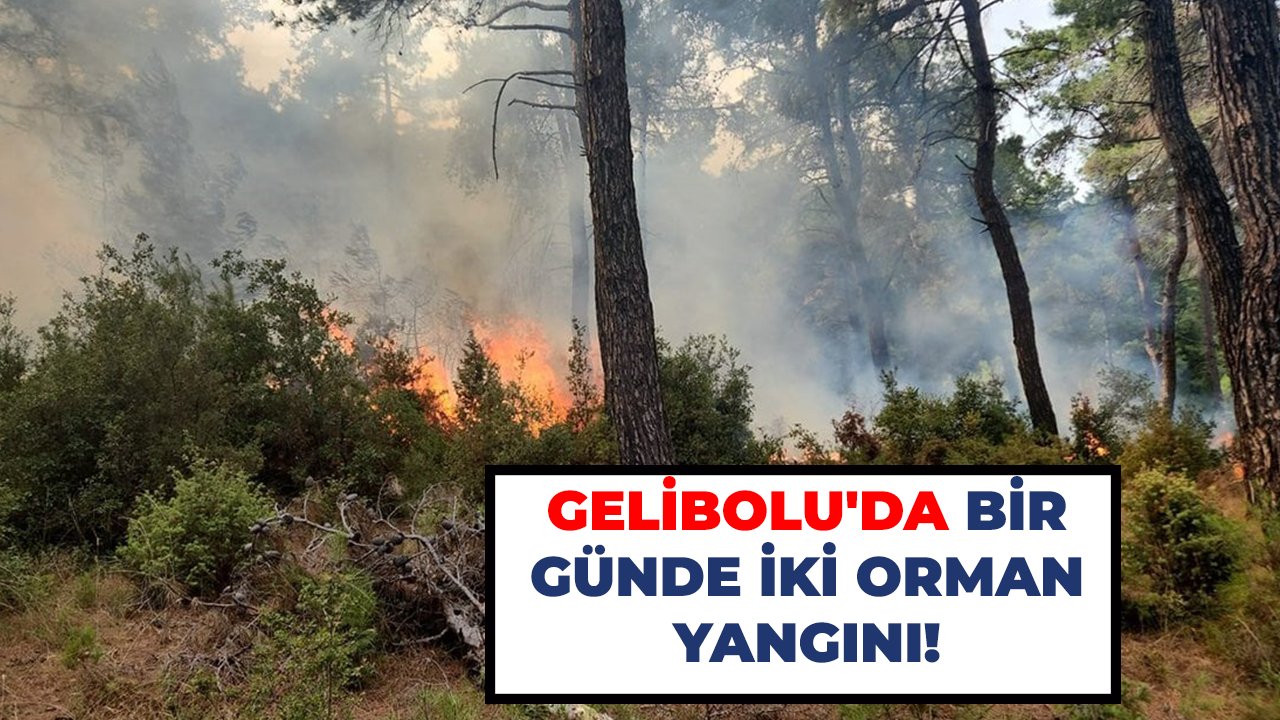 Gelibolu'da bir günde iki orman yangını!
