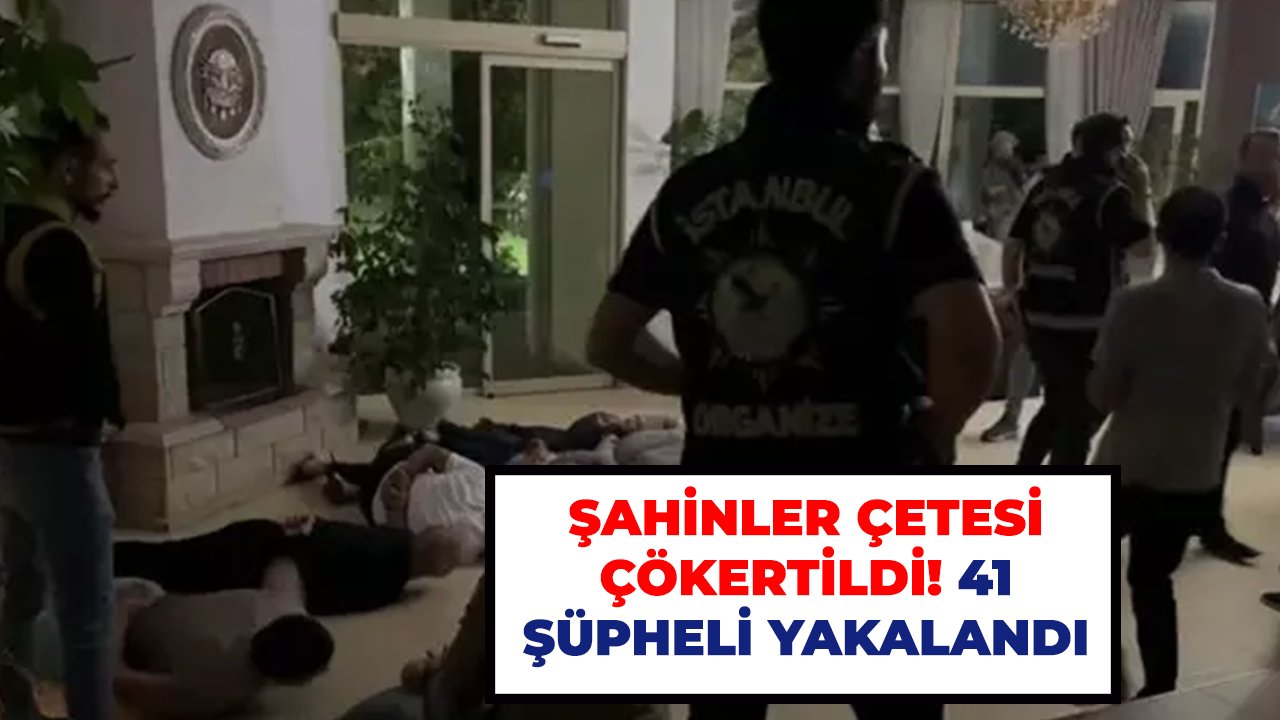 Şahinler çetesi çökertildi! 41 şüpheli yakalandı