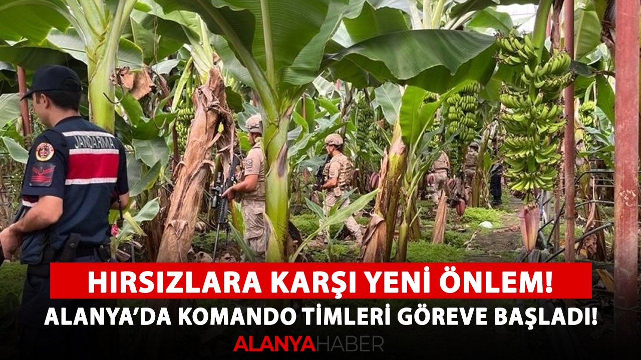 Hırsızlara karşı yeni önlem! Alanya'da Komando timleri göreve başladı!