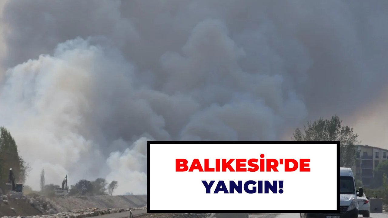 Balıkesir'de yangın!