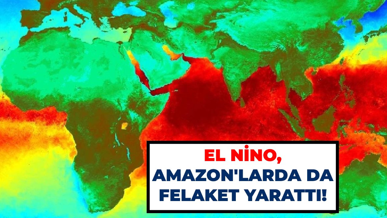 El Nino, Amazon'larda da felaket yarattı!