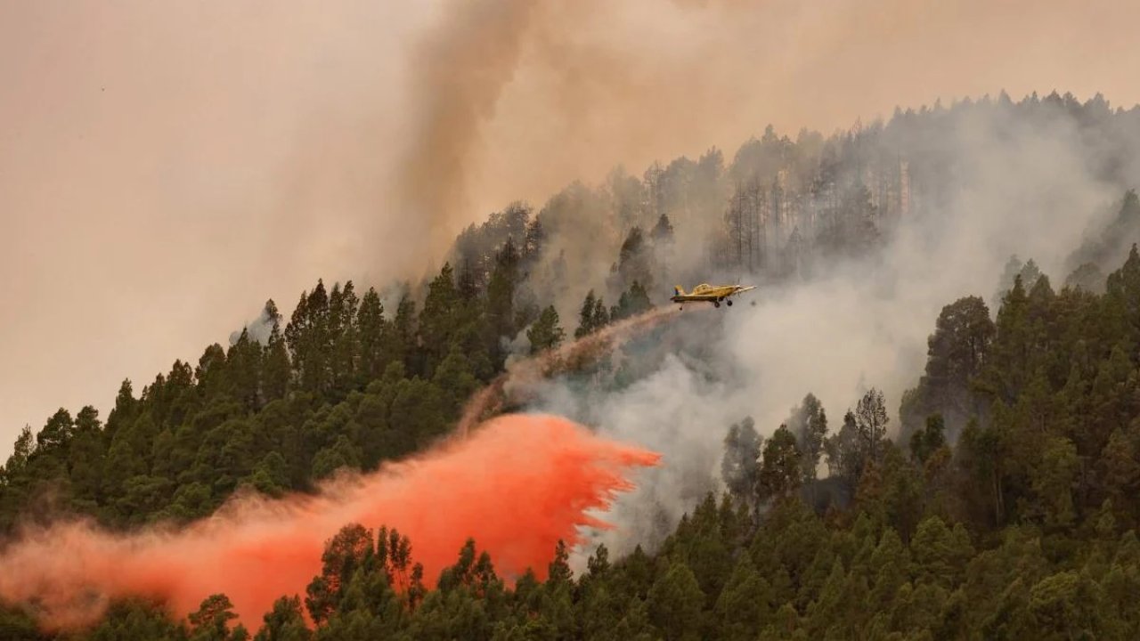 İspanya'da yangın! 3 binden fazla kişi tahliye edildi