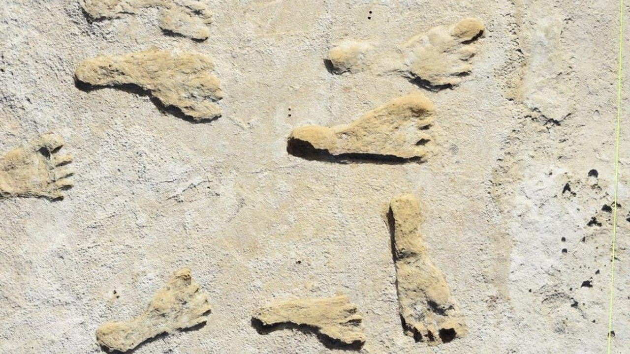 Amerika'da tarihe ışık tutan gelişme! Tam 21 bin 500 yıl önce...