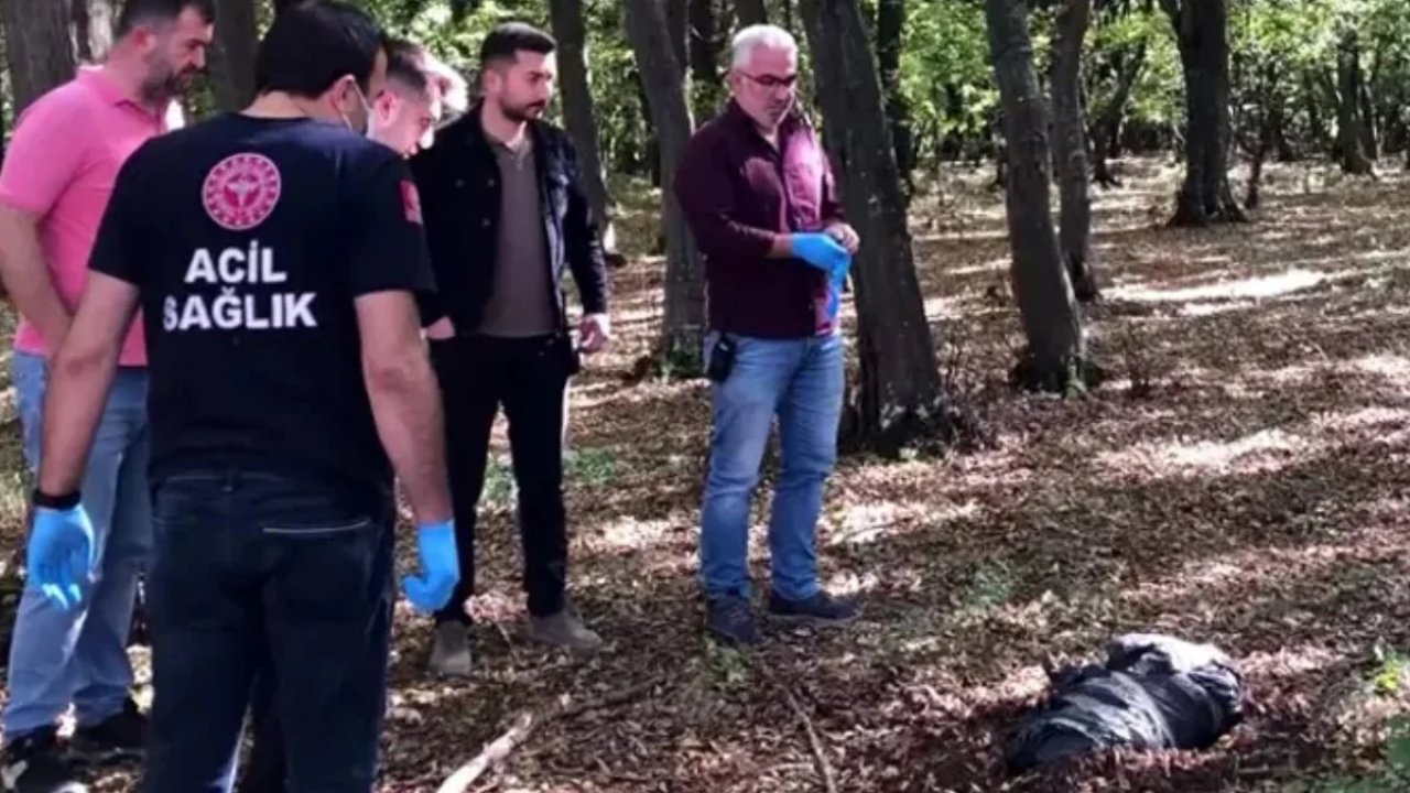 Hayvan şiddetinde kan donduran olay!