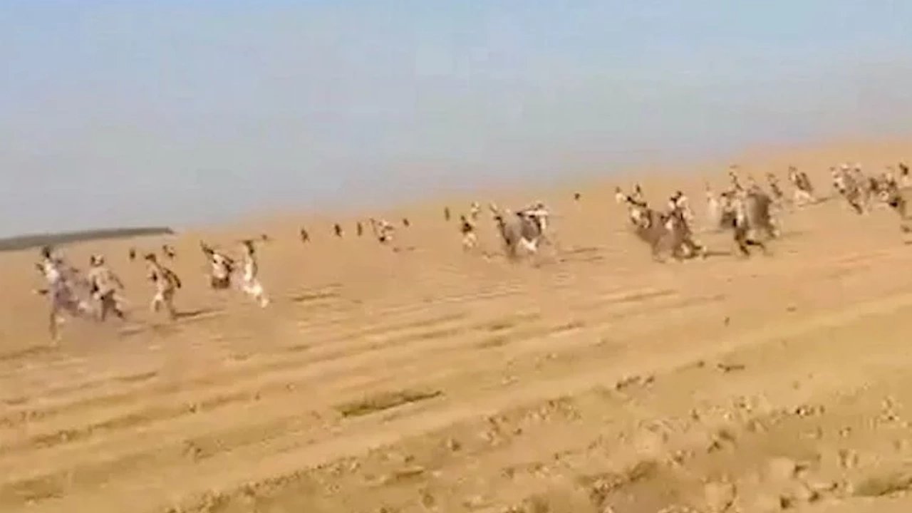 İsrail müzik festivalinde 250'den fazla ceset