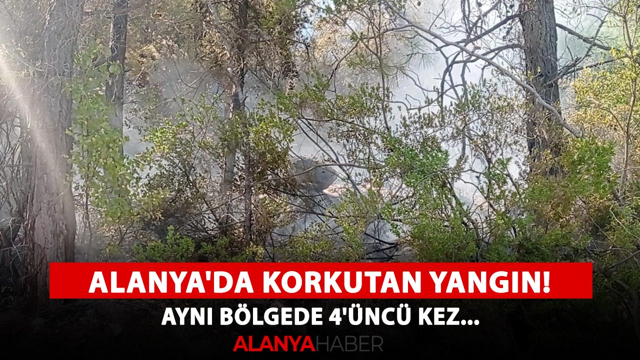 Alanya'da korkutan yangın! Aynı bölgede 4'üncü kez...