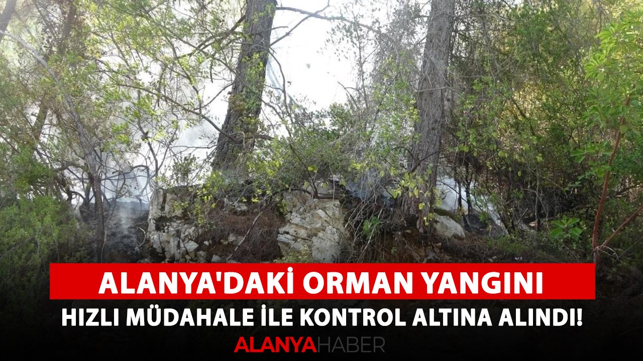 Alanya'daki orman yangını hızlı müdahale ile kontrol altına alındı!