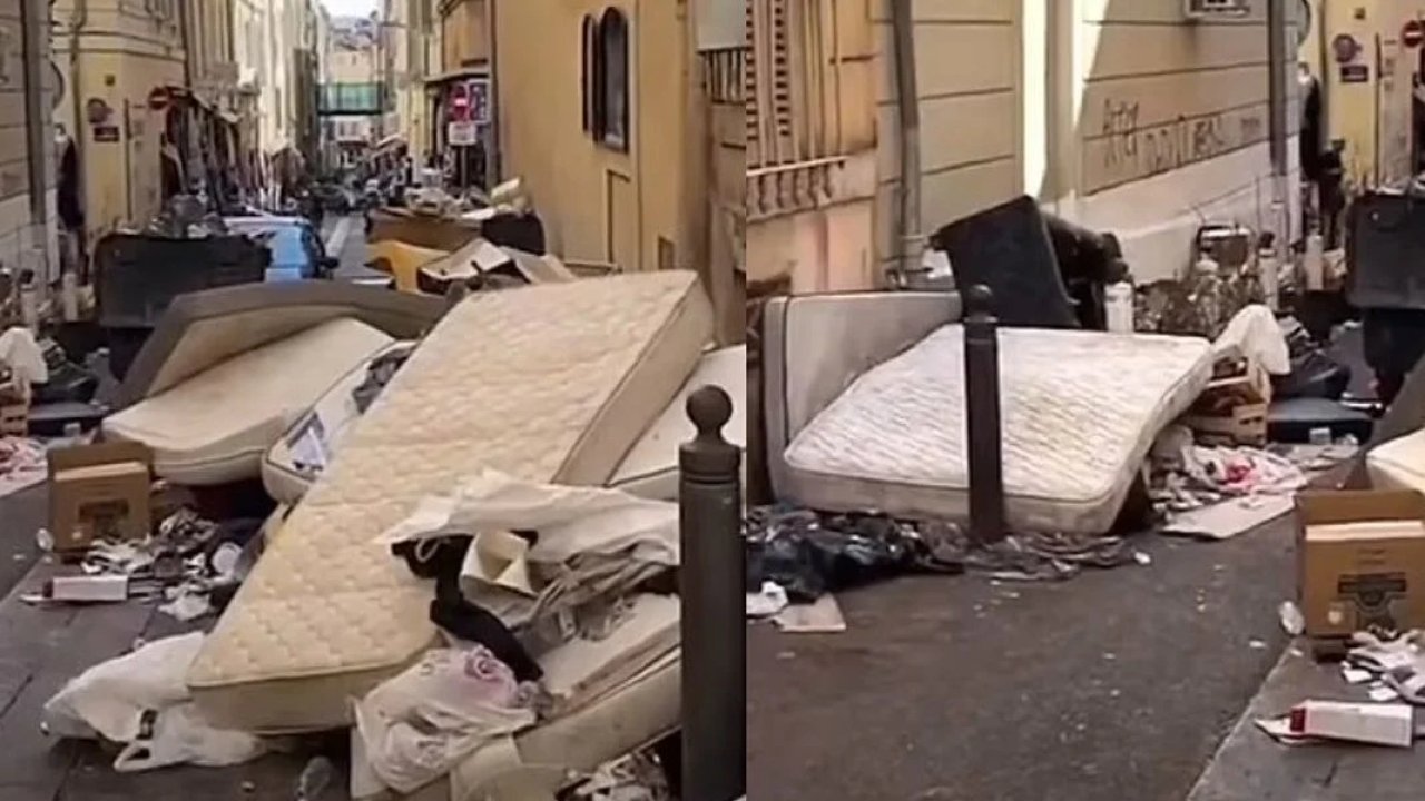 Fransa'da tahtakurusu istilası!