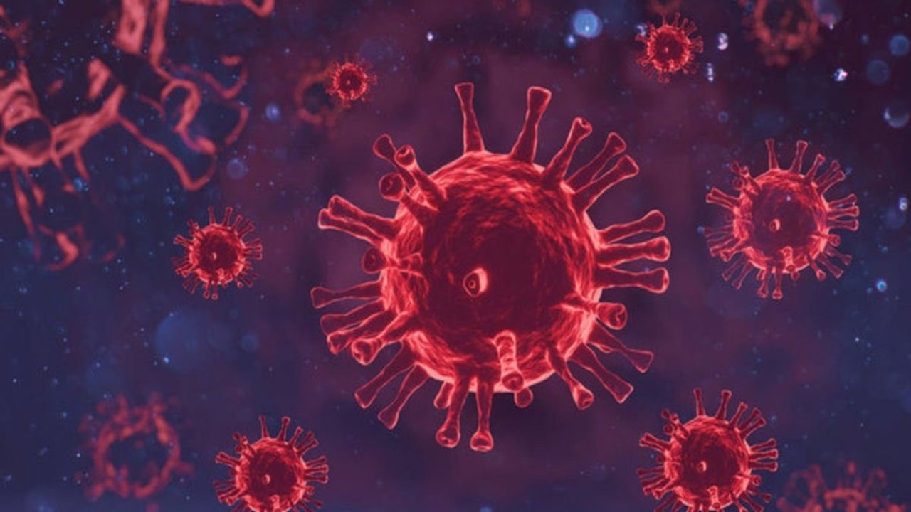 Uzman isim açıkladı: Kış aylarında Eris varyantı vakaları çoğalacak!