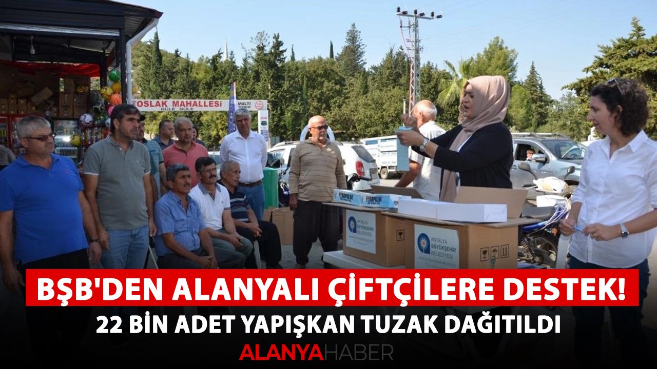 BŞB'den Alanyalı çiftçilere destek! 22 bin adet yapışkan tuzak dağıtıldı