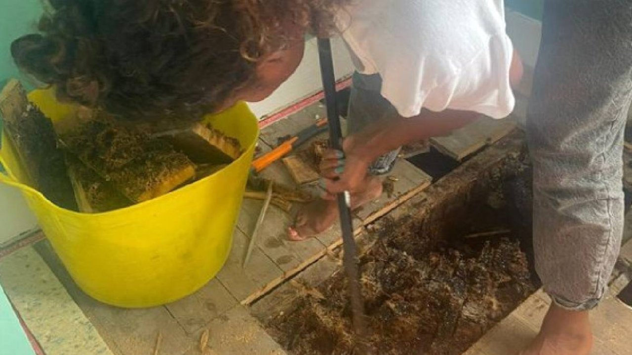 Yeni eve taşınan çiftin evlerinin duvarlarının altından öyle bir şey çıktı ki inanamadılar!