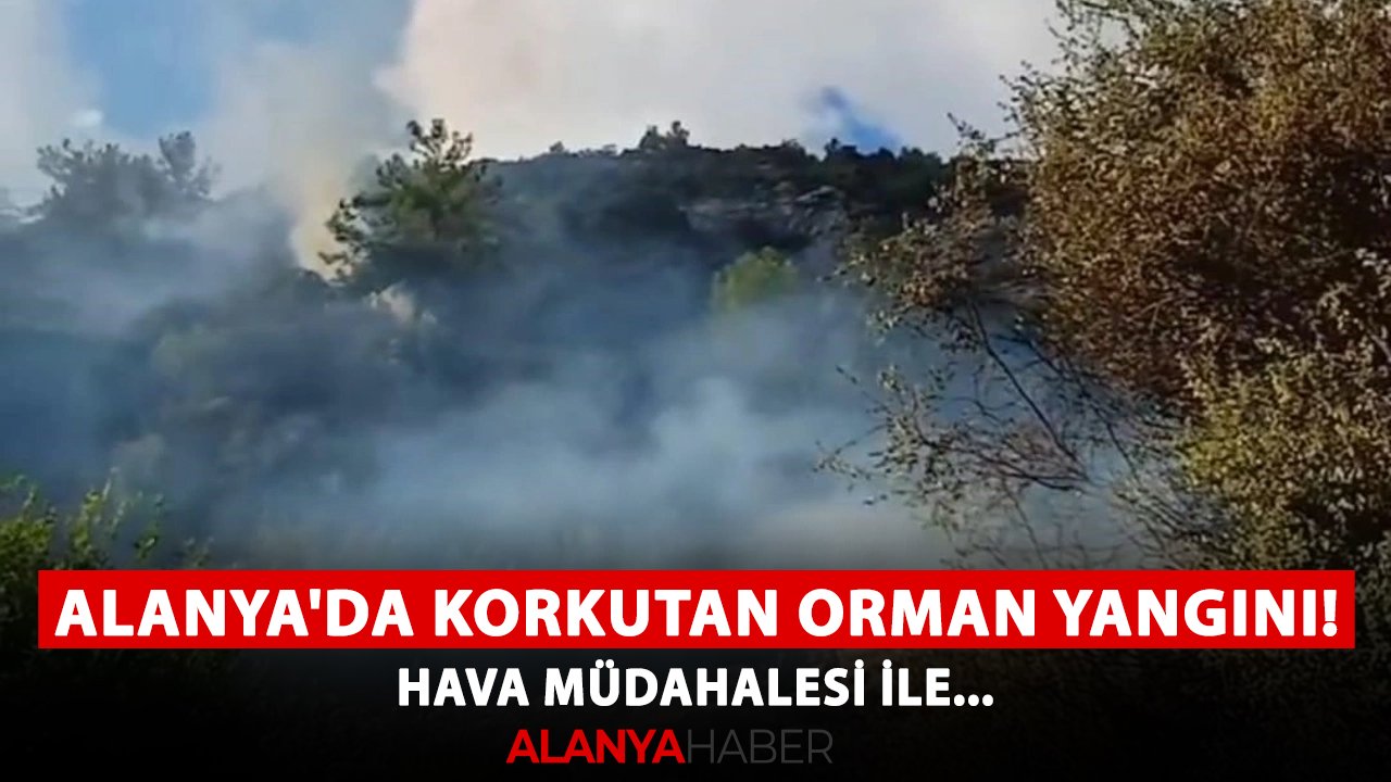 Alanya'da korkutan orman yangını! Hava müdahalesi ile...