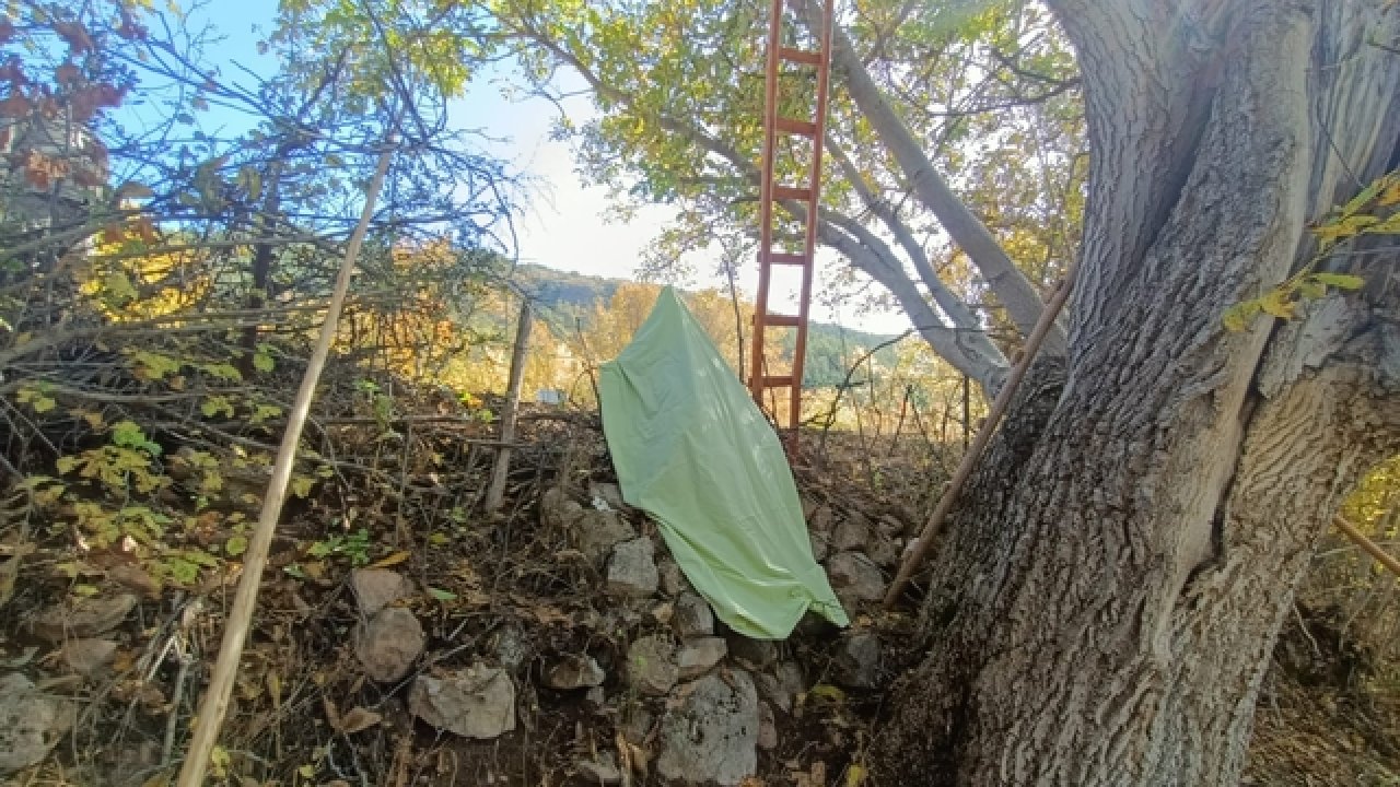 Tırmandığı ağaçtan demir çubuğunun üzerine düşerek hayatını kaybetti!