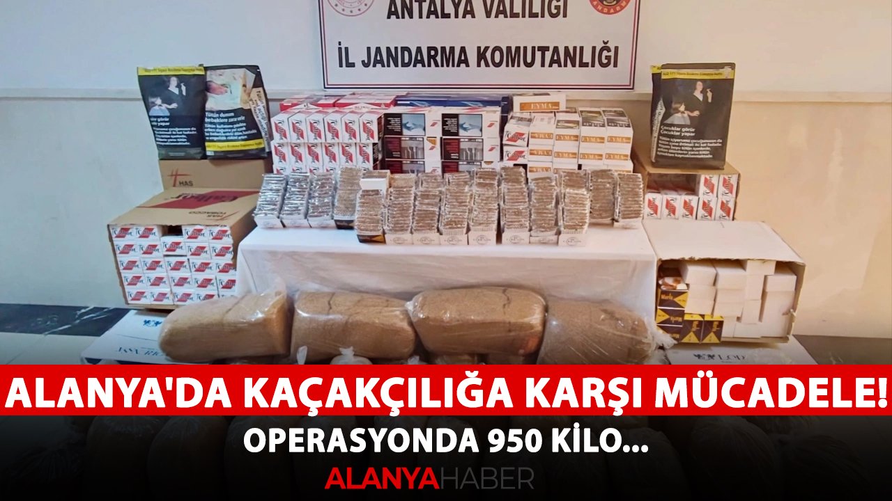 Alanya'da kaçakçılığa karşı mücadele! Operasyonda 950 kilo...