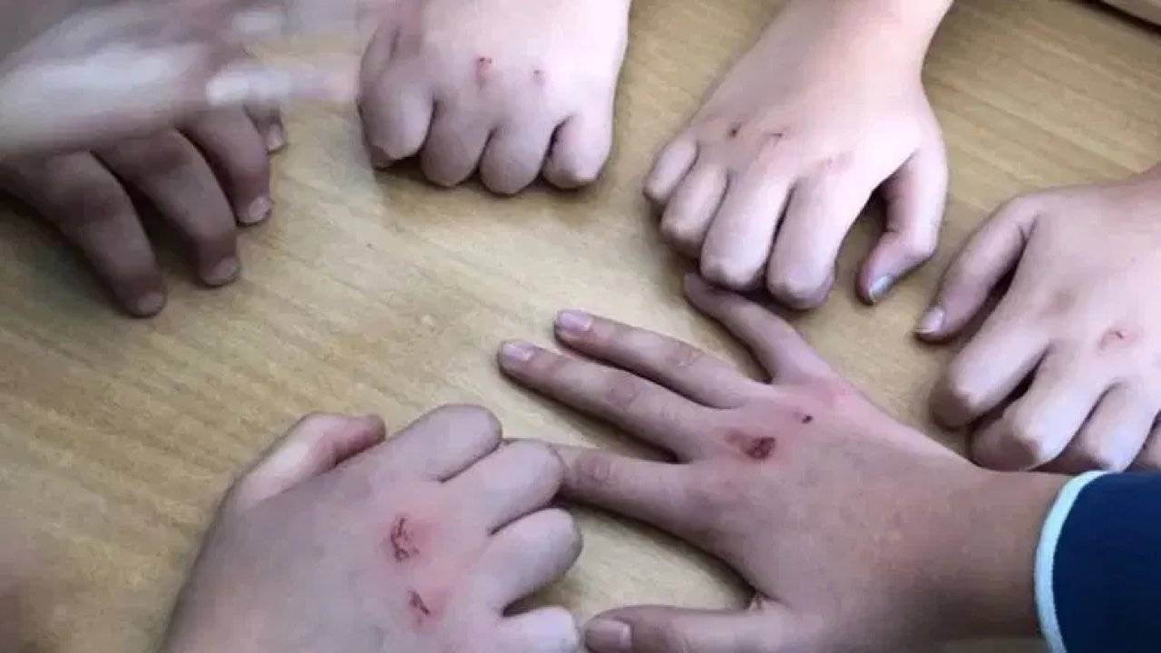 Okullarda yeni tehlike: Kanlı para vahşeti!