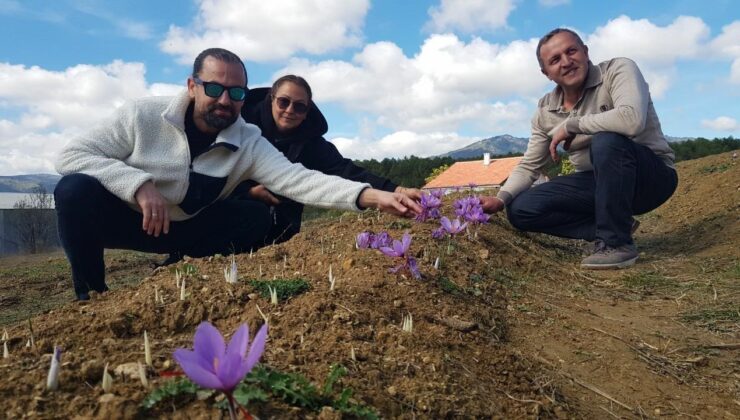 Keşfettiği şey sayesinde doktorluğu bıraktı! Para kazanmak onun için çok kolay