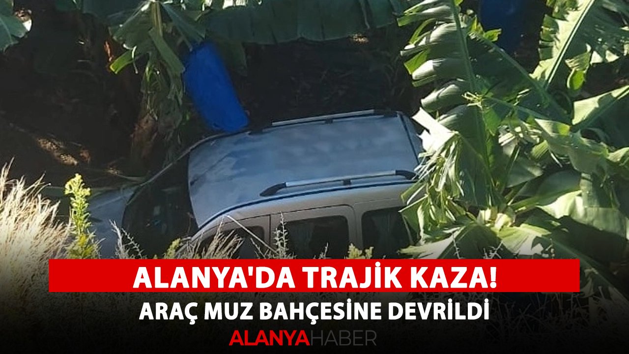 Alanya'da trajik kaza! Araç muz bahçesine devrildi