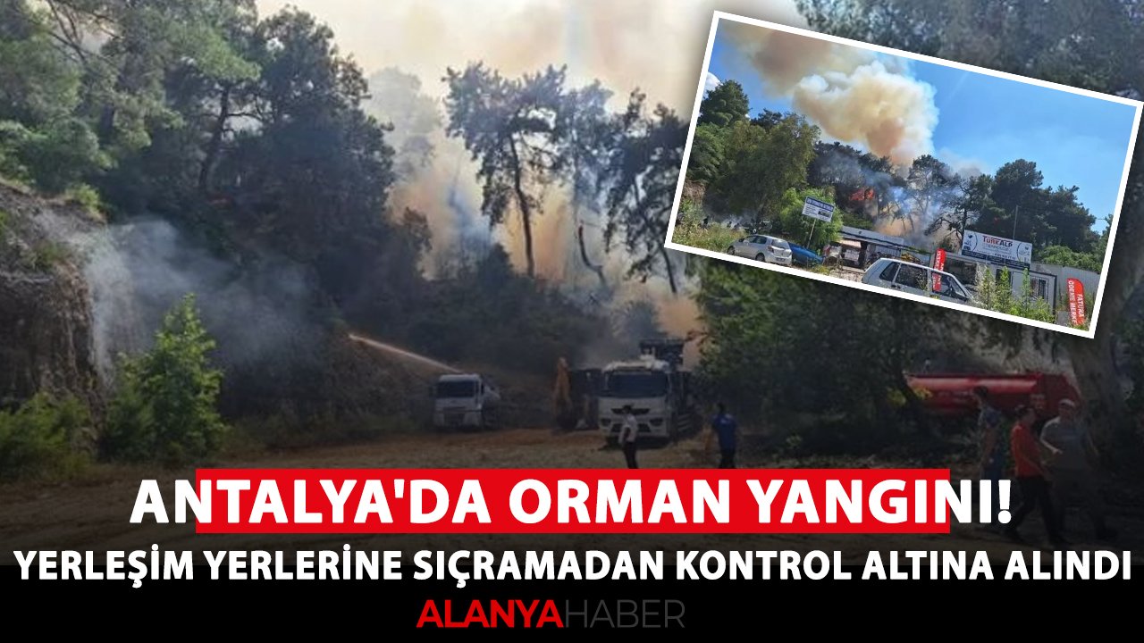 Antalya'da orman yangını! Yerleşim yerlerine sıçramadan kontrol altına alındı