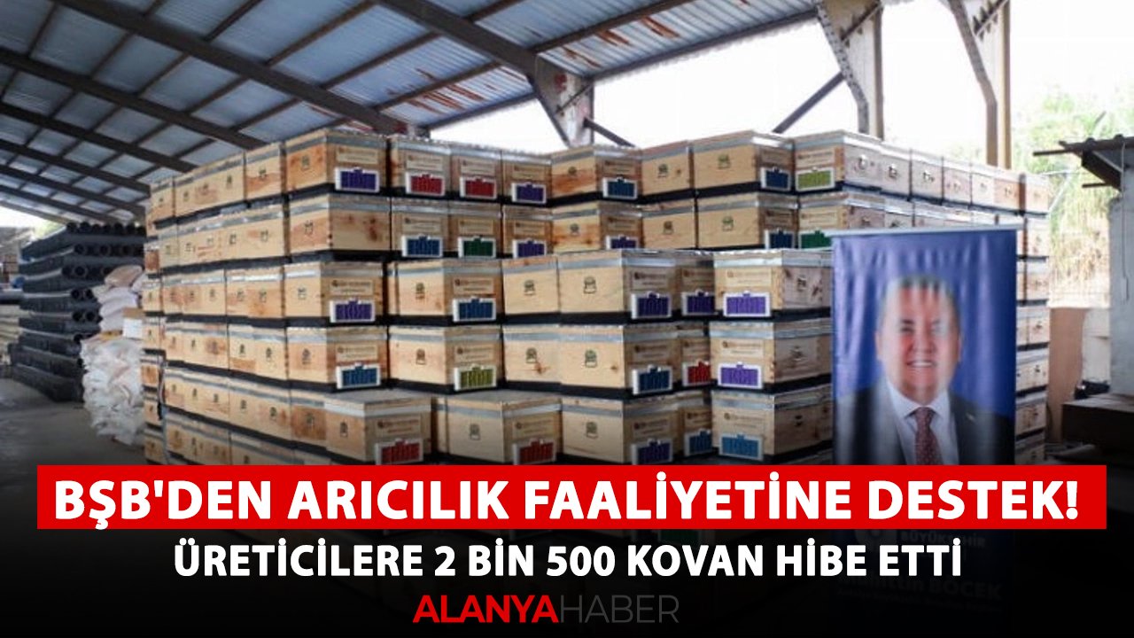 BŞB'den arıcılık faaliyetine destek! Üreticilere 2 bin 500 kovan hibe etti