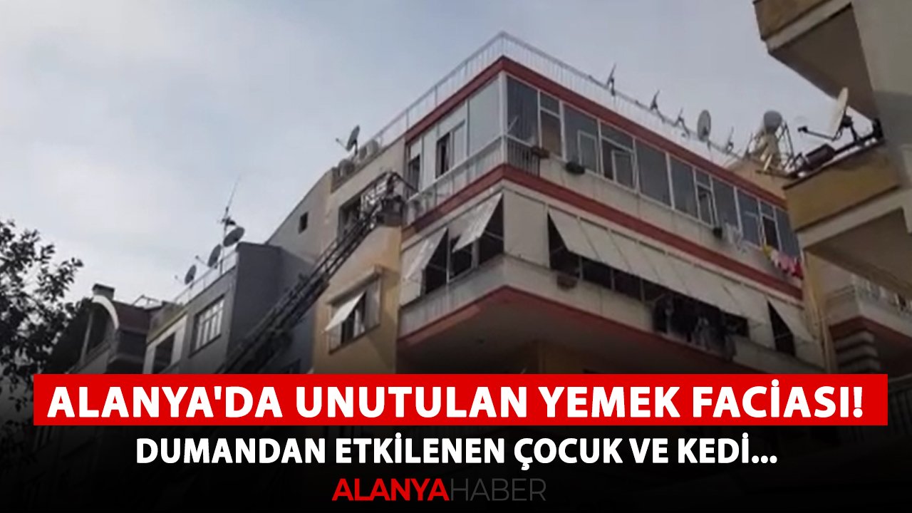 Alanya'da unutulan yemek faciası! Dumandan etkilenen çocuk ve kedi...