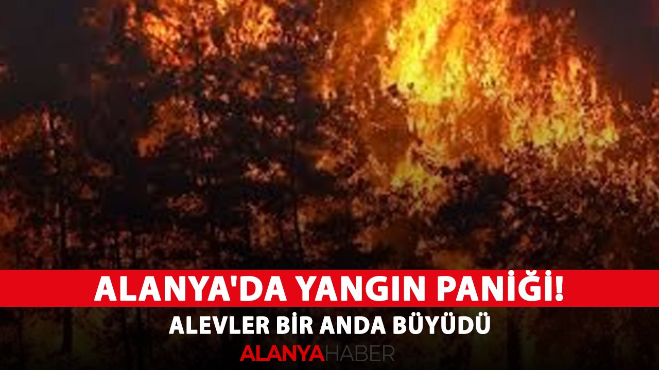 Alanya'da yangın paniği! Alevler bir anda büyüdü