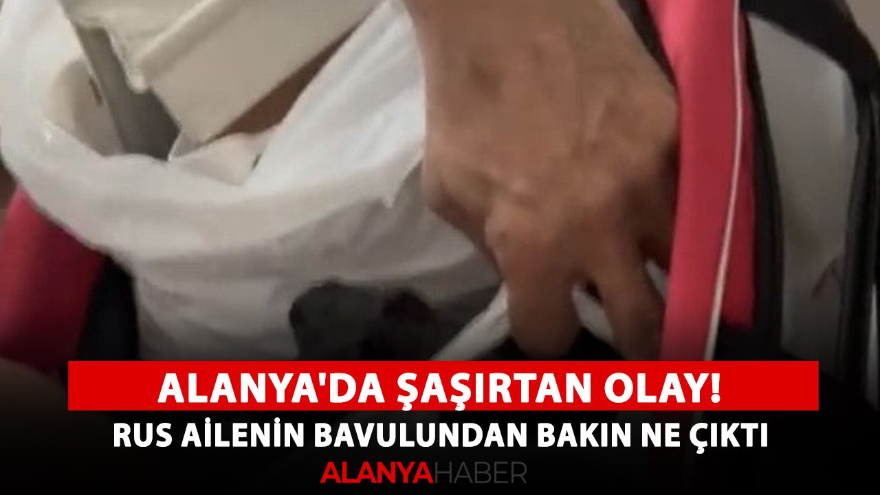 Alanya'da şaşırtan olay! Rus ailenin bavulundan bakın ne çıktı