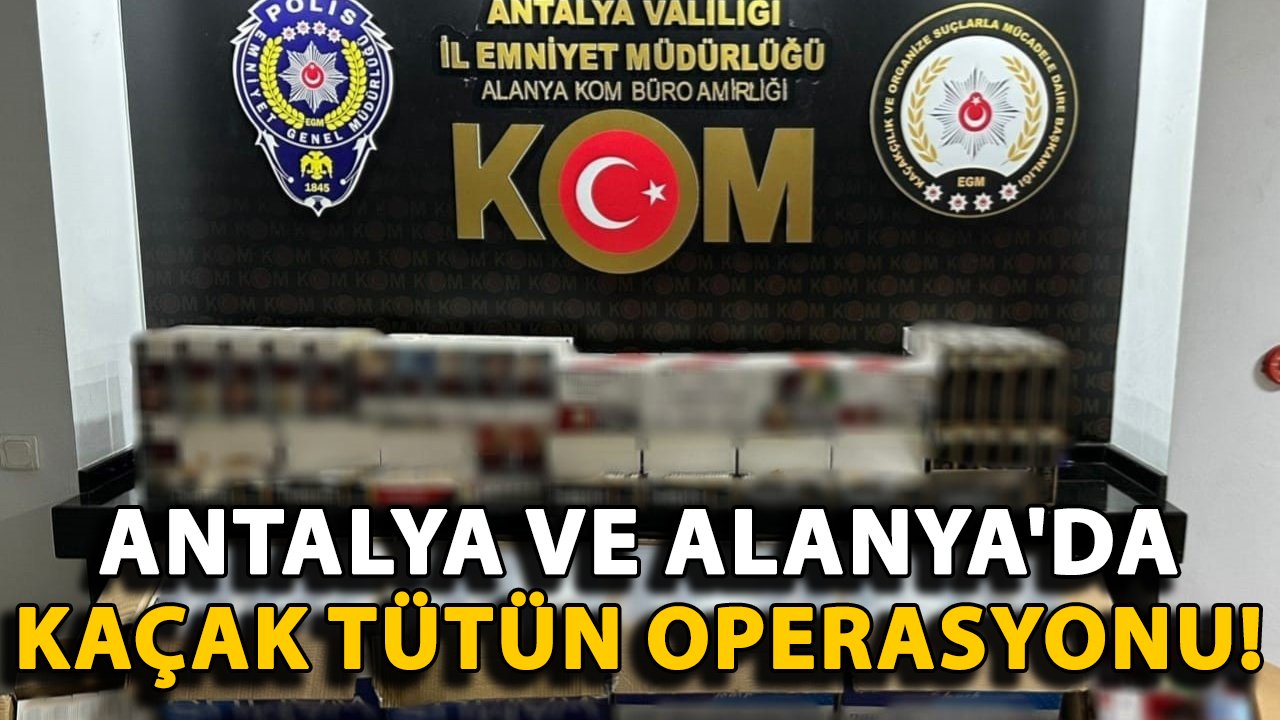 Antalya ve Alanya'da kaçak tütün operasyonu!