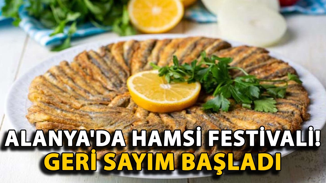 Alanya'da Hamsi Festivali! Geri sayım başladı