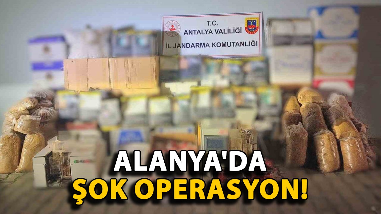 Alanya'da şok operasyon! 480 kilo tütün ele geçirildi