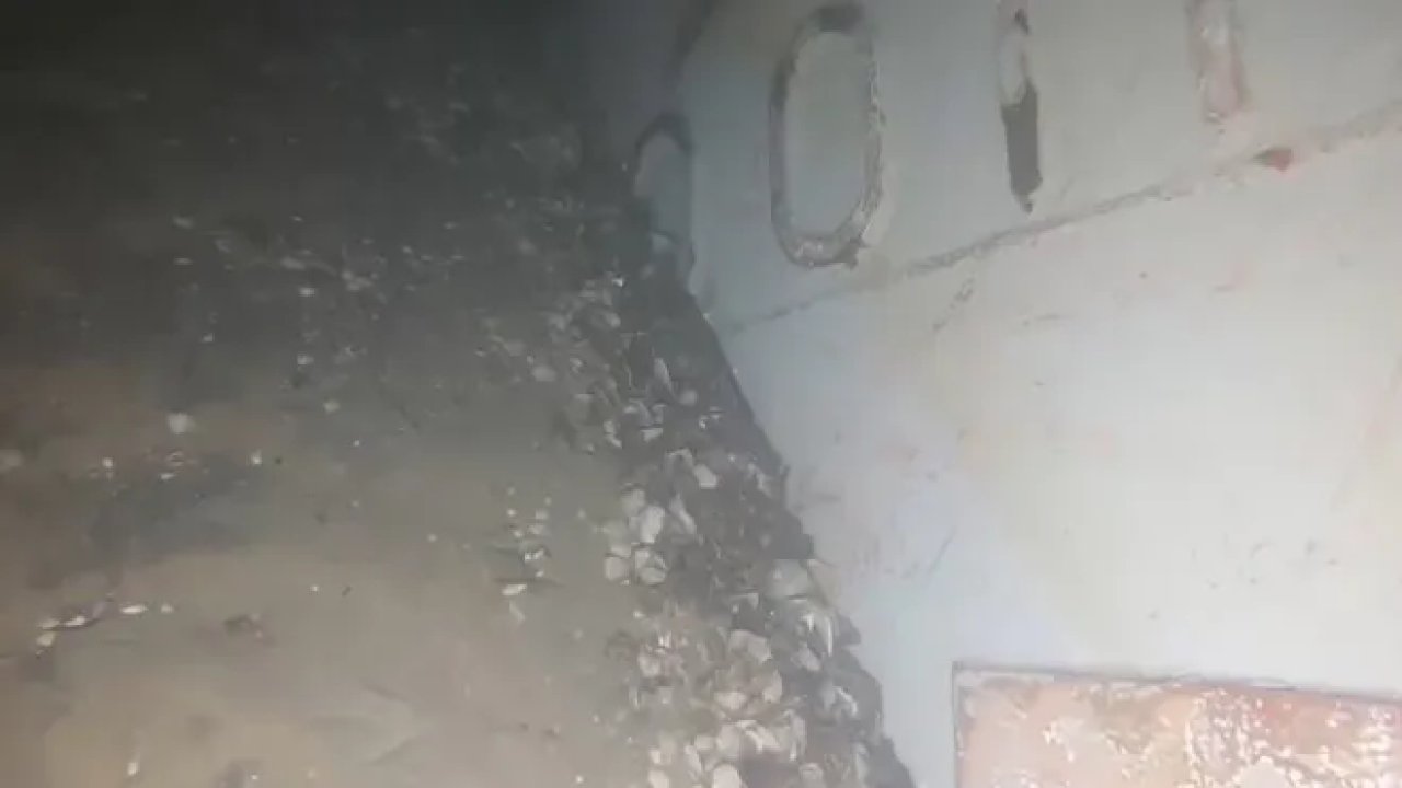 Zonguldak'ta Batan Gemiden İlk Su Altı Görüntüleri Ortaya Çıktı