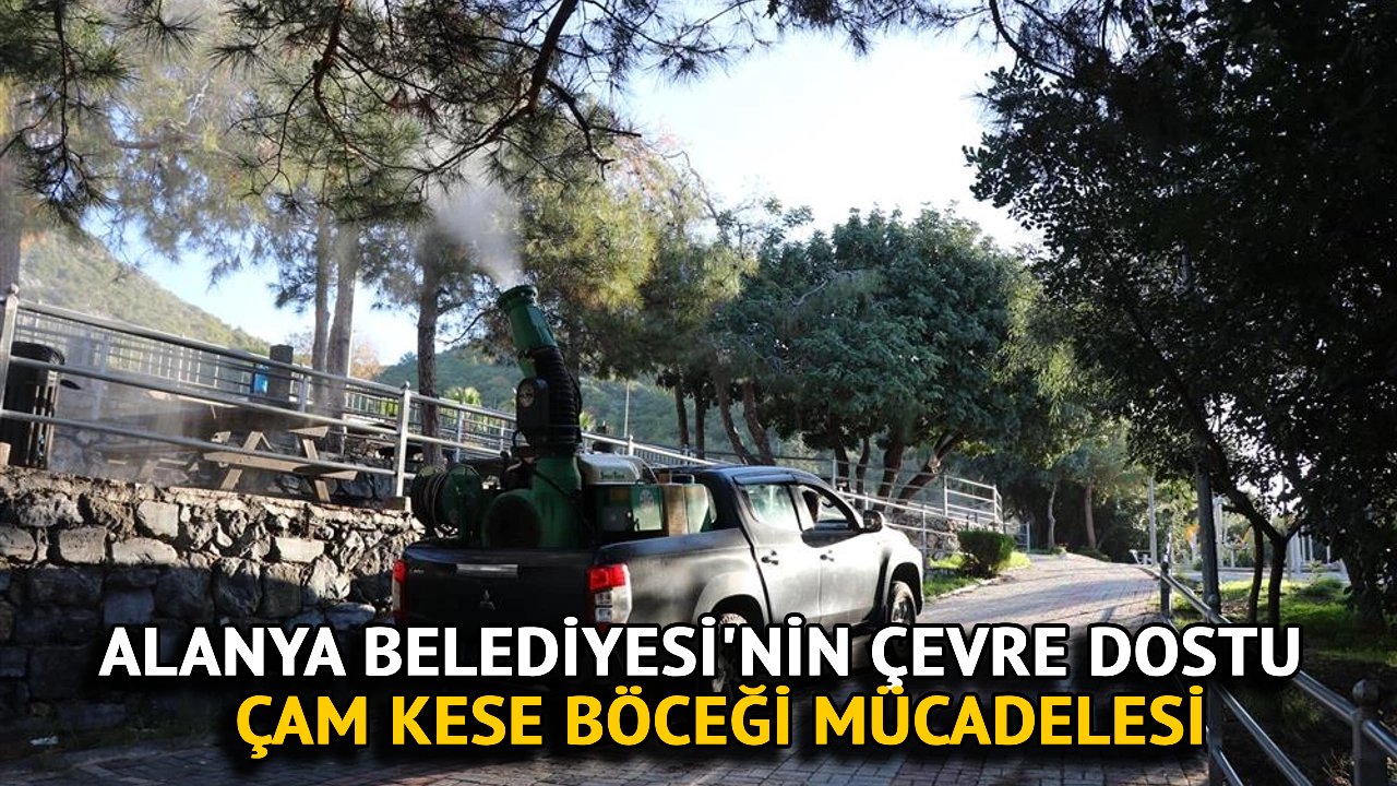 Alanya Belediyesi'nin Çevre Dostu Çam Kese Böceği Mücadelesi